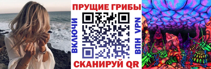 Галлюциногенные грибы Psilocybe Кстово