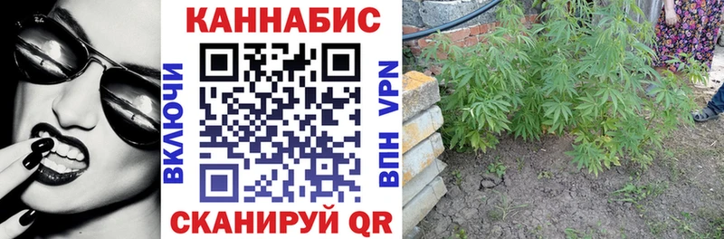 Канабис конопля  Кстово 